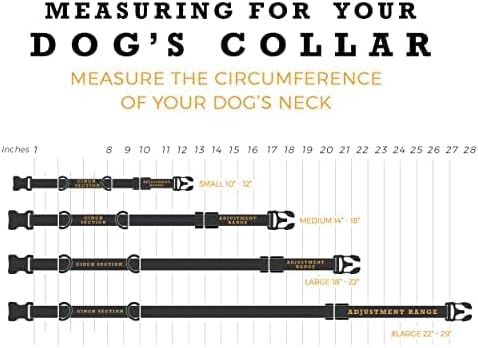 Wolfgang Heavy Duty Martingale Dog Collar with Quick Release Nylon Buckle for Walking & Training, WolfMountain Print, Small