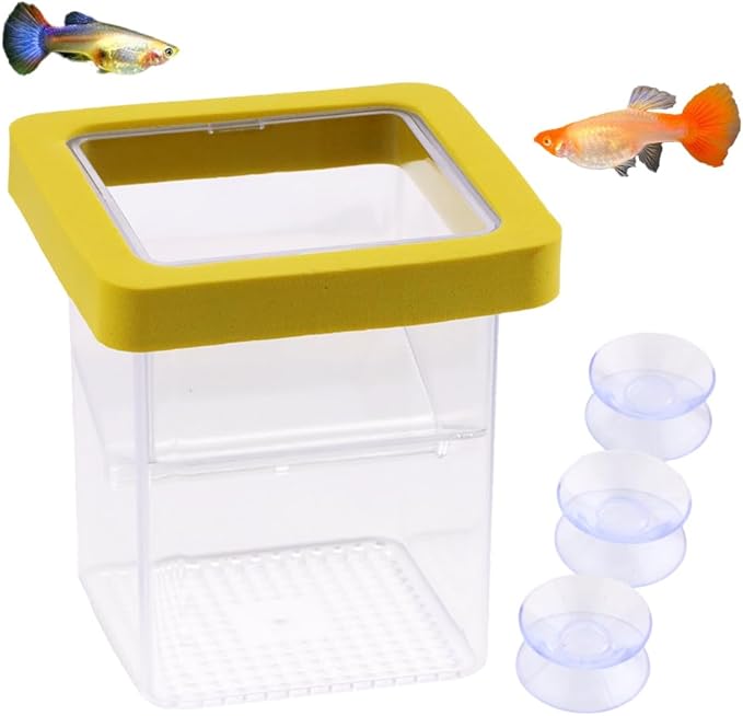 1 Pack Floating Fish Breeding Isolation Box Acrylic Floating Hatching Box for Baby Fish Shrimp Clownfish Betta Eggs Aquarium Tank