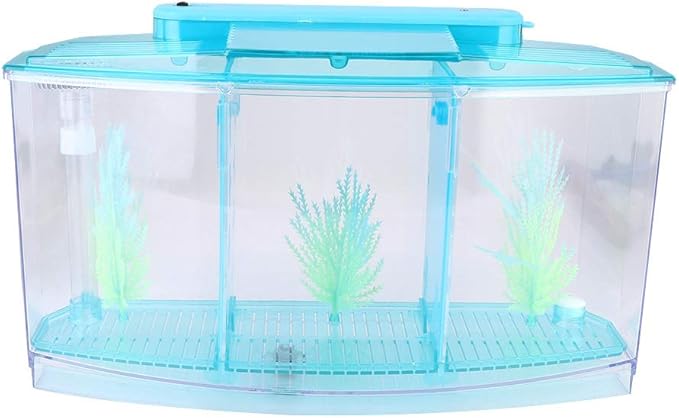 Aquarium Tank, Three Divisions LED Acrylic Fish Tank, Desktop Aquarium | Portable Fish Tank | Travel Fish Tank | Cool Fish Tank | Breeding Isolation Box Fishtank for Baby Fish