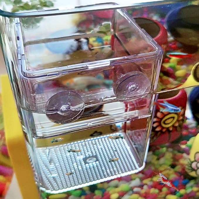 1 Pack Floating Fish Breeding Isolation Box Acrylic Floating Hatching Box for Baby Fish Shrimp Clownfish Betta Eggs Aquarium Tank