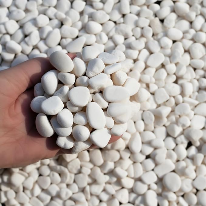 12 LBS River Rocks, StoneCreek, Decorative Garden Stones for Plant Landscaping, Polished Gravel Filler Pebbles for Home Decoration, Vases, Succulents, Flower Beds and Fish Tanks (White, Medium)
