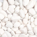 11lbs White Natural River Rocks, Polished Pebbles for Plants Garden, 1-2 inch Decorative White Stones, Ideal for Fish Tank, Vases, Crafting, Home Decor and Garden Landscaping Rocks,White