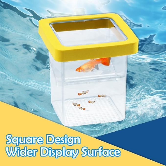 1 Pack Floating Fish Breeding Isolation Box Acrylic Floating Hatching Box for Baby Fish Shrimp Clownfish Betta Eggs Aquarium Tank