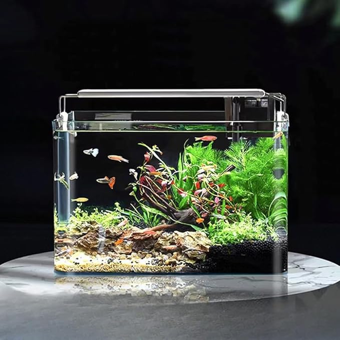 1.5 Gallon Aquarium Fish Tank，Rimless Aquarium Tank，8.7" L × 5.9" W × 6.7" H
