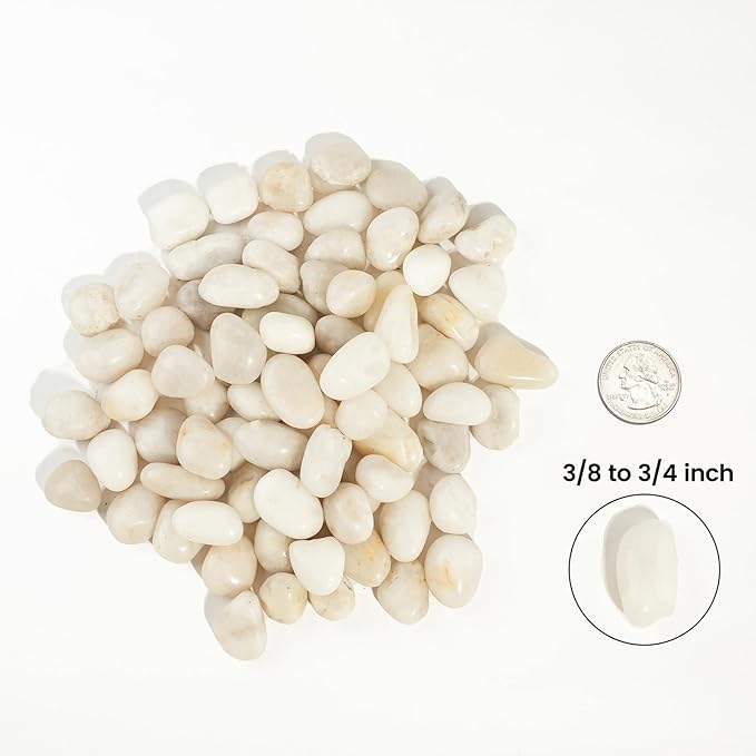 12 LBS River Rocks, StoneCreek, Decorative Garden Stones for Plant Landscaping, Polished Gravel Filler Pebbles for Home Decoration, Vases, Succulents, Flower Beds and Fish Tanks (White, Medium)