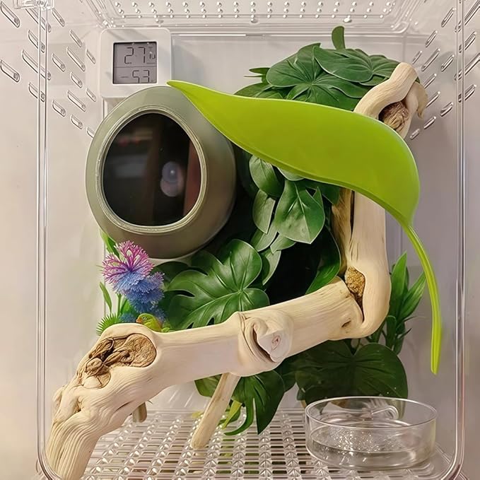 1 Pack Jumping Spider Nest Spider Hide Tree Frog Habitat Accessories Hermit Crab Climbing Hideout (Green)