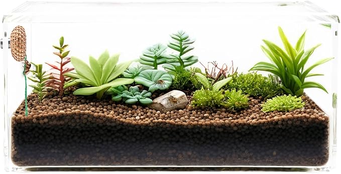 1 Pcs Jumping Spider Accessories，Shelter Made of Cane, Essential for Jumping Spider Hide, Enclosure, and Tarantula Enclosure Accessories