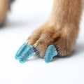 100pcs Dog Nail Caps Claw capsCover with Glue and Applicators (L: About. Weight: 25-40 pounds)