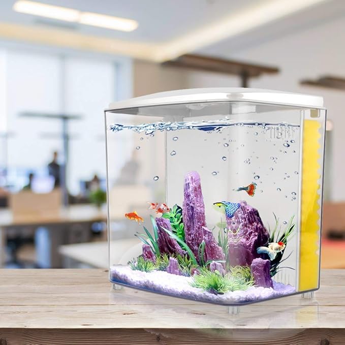 1.2Gallon Betta Aquarium Starter Kits Square Fish Tank with LED Light and Filter Pump