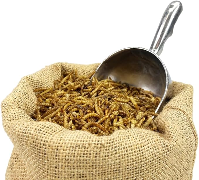 11lb Chubby Mealworms Bulk Dried Mealworms High Protein Treat for Chickens, Ducks, Birds and Much More