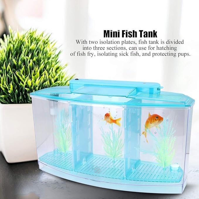 Aquarium Tank, Three Divisions LED Acrylic Fish Tank, Desktop Aquarium | Portable Fish Tank | Travel Fish Tank | Cool Fish Tank | Breeding Isolation Box Fishtank for Baby Fish