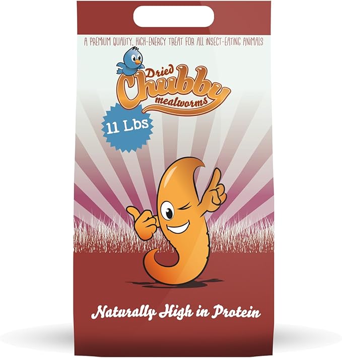 11lb Chubby Mealworms Bulk Dried Mealworms High Protein Treat for Chickens, Ducks, Birds and Much More