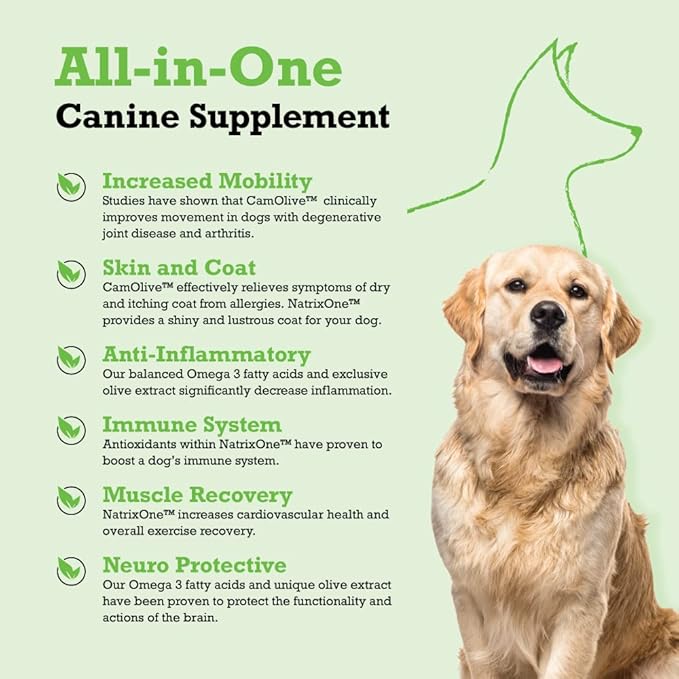 100% Pure Camelina Oil for Dogs, 16 oz - Dog Skin and Coat Supplement All-Natural Supplements, Support Hearts, Joints, Coats, Skin and Anti-inflammatory, Protective Care - Omega 3 by NatrixOne