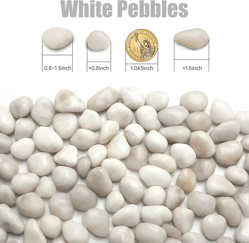 1 Pack 5 Lbs Random Color River Rocks for Plants,0.8-1.5 Inch Decorative Ornamental Pebbels, High Polished Stones for Garden Landscaping, Smooth Gravel Filler, Succulents, Fish Tank, White/Yellow