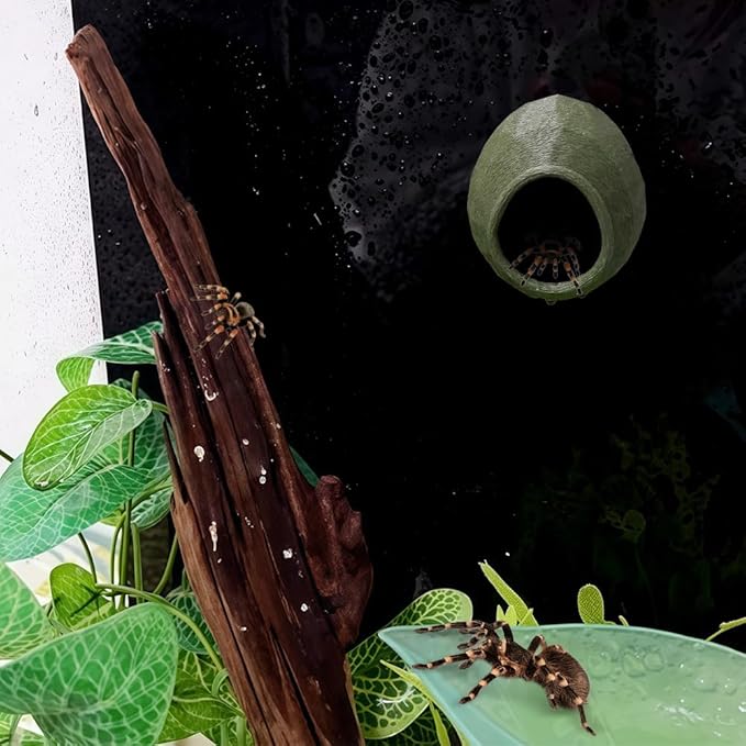 1 Pack Jumping Spider Nest Spider Hide Tree Frog Habitat Accessories Hermit Crab Climbing Hideout (Green)
