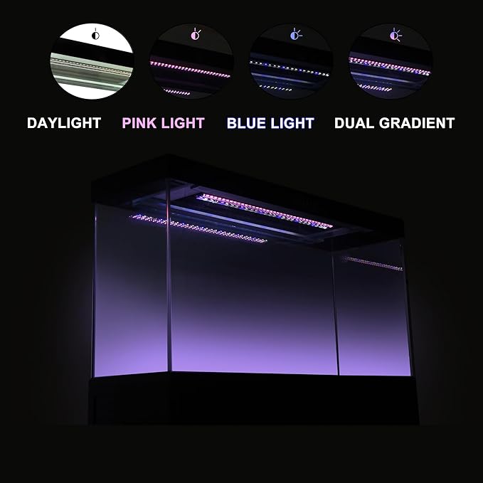 100 Gallon Glass Aquarium with Aluminum Cabinet - Including Sump for Filtration and Circulation, Plumbing, LED, Red with Gold Trim