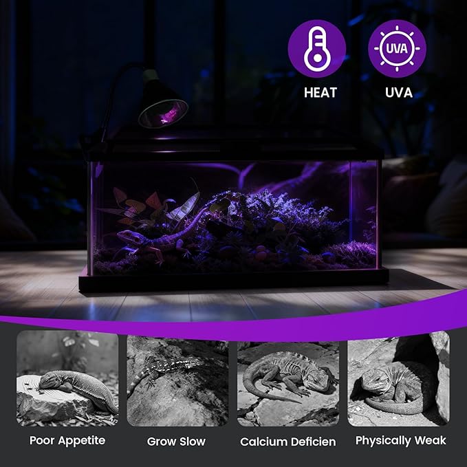 100W Reptile Night Light Bulb – 2-Pack Moonlight Purple Glow, Gentle Heat & UVA for Nocturnal Basking, E26 Base, Perfect for Bearded Dragon, Lizard, Turtle, Chicken