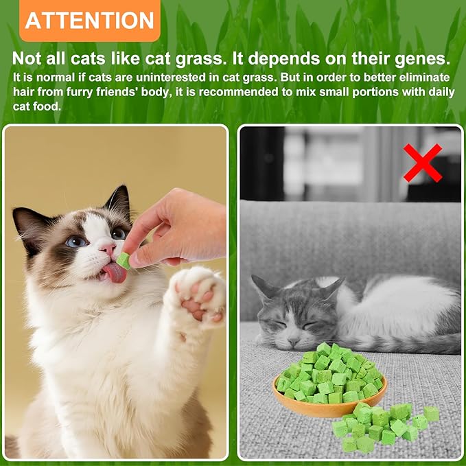 100g Freeze-Dried Cat Grass Treats, Natural Hairball Treatment for Cats, Edible Cats Chew Toy Cat Treats Snack for Teething Cleaning Hairball Removal