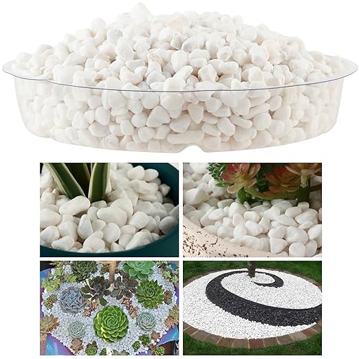 11 Lbs Natural River Rocks for Plants 0.3” Small Decorative Pebbles for Plant Pot Landscaping Garden Stones White Aquarium Gravel, Mini Vase Filler, Terrarium Rocks in Bulk, Home Decor