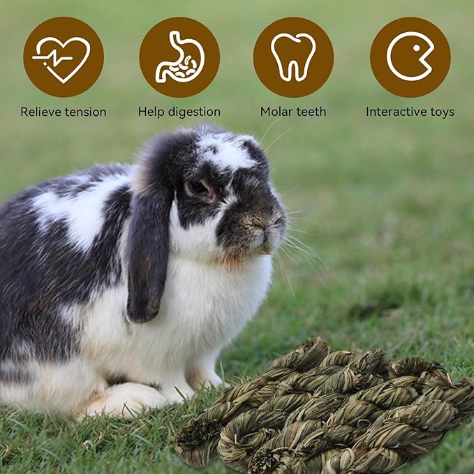 10pcs Rabbit Timothy Hay Toy,Rabbit Chew Toys Bunny Treats Natural Timothy Grass Stick Natural Woven Molar Teeth Chewing Toys for Bunny Hamster Guinea Pigs Chinchilla Gerbils