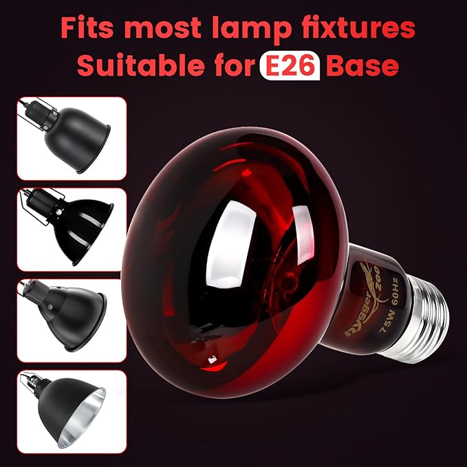 100W Infrared Heat Lamp Bulbs – 2-Pack Red IR Basking Light for Reptile & Amphibian, Silent Night-Time Heating, E26 Base, Bearded Dragon,Lizard,Turtle,Chicken