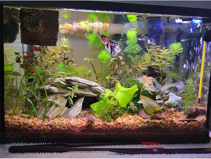 11.5 inches LED Aquarium Light, 6W Fish Tank Light Underwater Light Submersible Crystal Glass Lights, 9.2ft/2.8m Long Wire Length, White