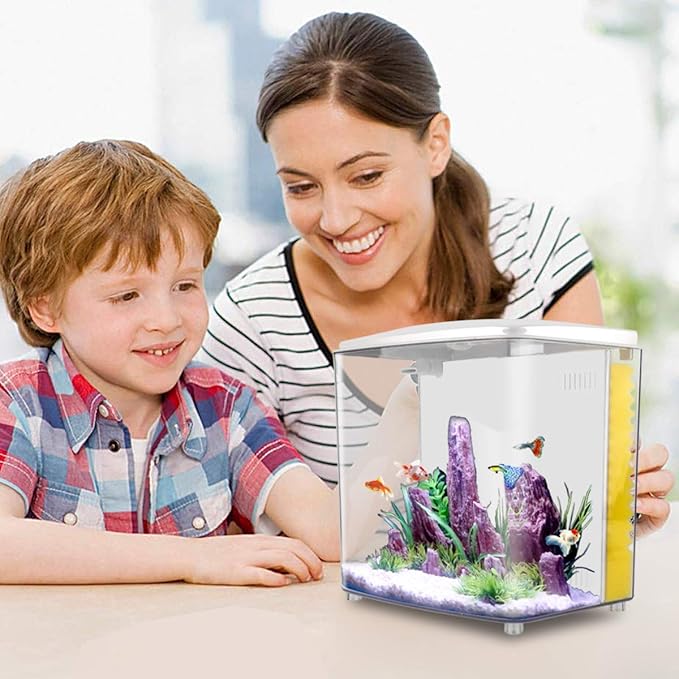 1.2Gallon Betta Aquarium Starter Kits Square Fish Tank with LED Light and Filter Pump