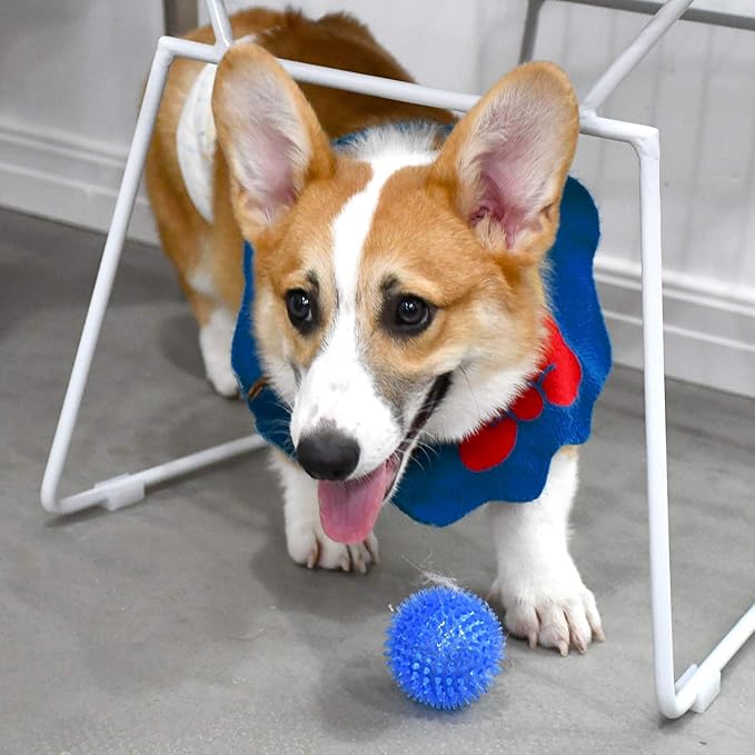 SHARLOVY Squeaky Balls for Pet Small Puppy, TPR Fetch Spike Balls for Dogs, Rubber 6 Pack Bright Colors Chew Teething Dog Toys