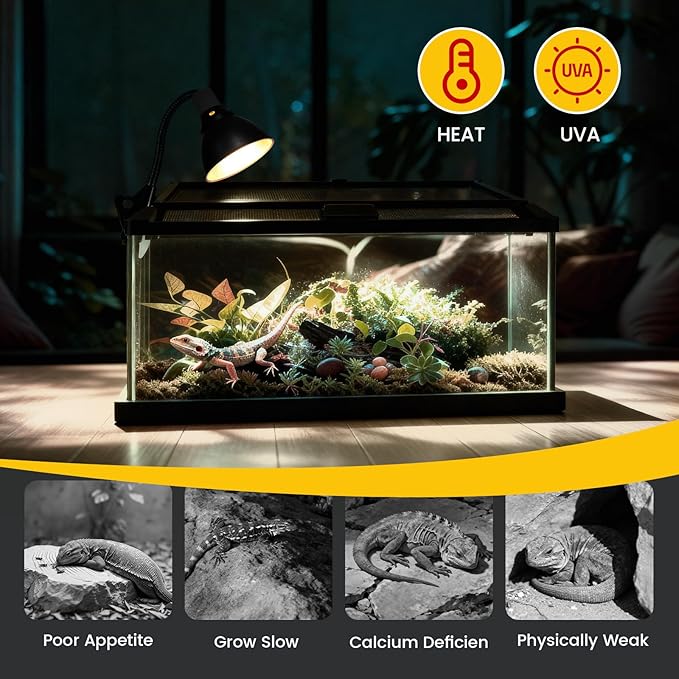 100W Reptile Heat Lamp Bulbs 2-Pack — UVA Daylight & Infrared Night Combo, Efficient Basking Light for Bearded Dragon, Lizard, Turtle, Chicken, E26 Base