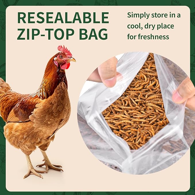 10LB Dried Mealworms, 100% Natural, Non-GMO Meal Worms, Dried for Chickens, Wild Birds, Reptile, Hamster, Hedgehog, Pigeon