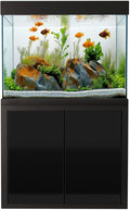 100 Gallon Glass Aquarium with Aluminum Cabinet - Including Sump for Filtration and Circulation, Plumbing, LED, Black