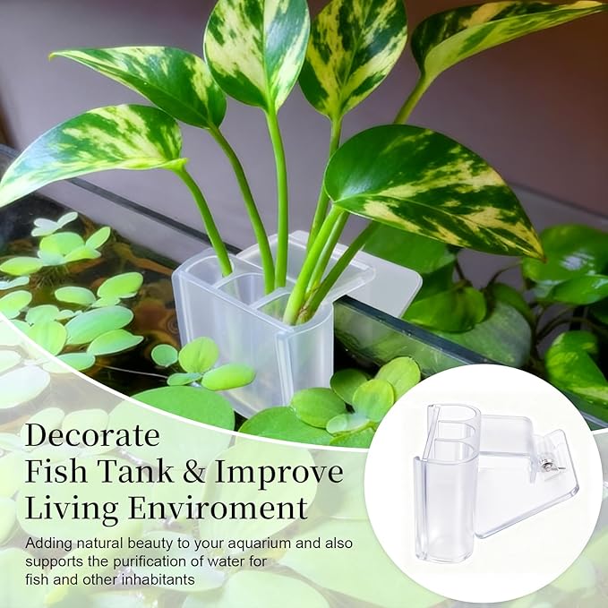 1 Pack Hanging Aquarium Plant Holder – 3 Holes Aquatic Plant Cups, Fish Tank Holder for Aquatic Plants, Ideal for Aquarium Tank Decoration(Transparent)