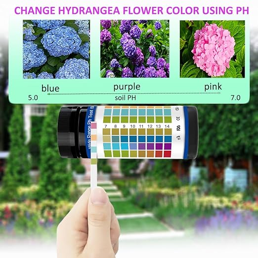 100 PCs Ph Strips for Aquarium Litmus Ph Test Strips for Women in Airtight Bottle Ph Test Strips Range 0-14 ph Paper for Pet Food Saliva Water Urine Test and Diet Monitoring PH Level Lab Pool