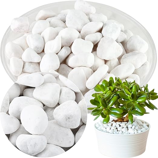 11 Lbs Natural River Rocks for Plants 0.6-0.8 inches Small White Landscaping Garden Stones White Aquarium Gravel Decorative Pebbles for Indoor Outdoor Planters Home Decor