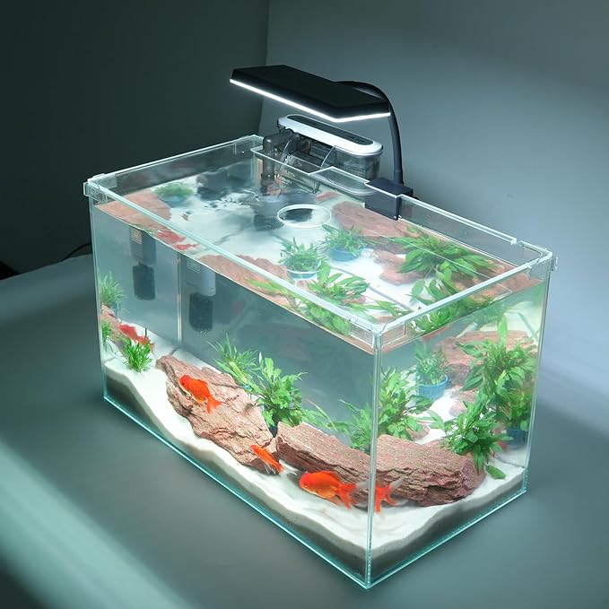 10 Gallon Glass Small Fish Tank, Betta Fish Tank Starter Kit with Filter, Lights, Lid.