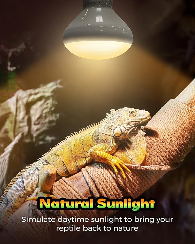 100W Reptile Heat Lamp Bulb, 2 Pack Day & Night Basking Spot Light Combo Pack Includes Infrared Heat Lamp and UVA Daylight Heating Lamp Basking Light