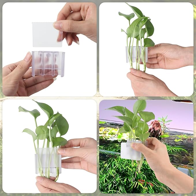 1 Pack Hanging Aquarium Plant Holder – 3 Holes Aquatic Plant Cups, Fish Tank Holder for Aquatic Plants, Ideal for Aquarium Tank Decoration(Transparent)