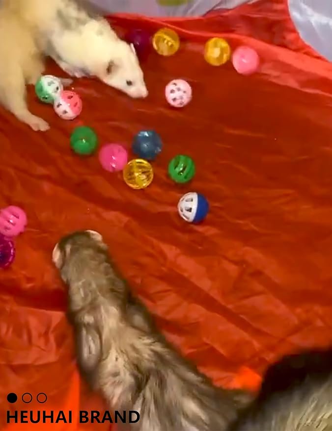 10-Pack Resilient Ferret Toys, Colorful Teething Balls, Bells, Interactive Stimulation, Easy-Clean for Oral Health (1.5'' - 2.7'', Ferret Toys Mega Set)