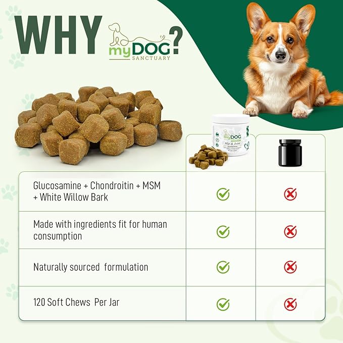 120 Chews Hip and Joint Supplement for Dogs - Glucosamine, Chondroitin & MSM,Arthritis Pain Relief Dog Joint Supplement - Mobility, Flexibility & Cartilage Support- Becon Flavour