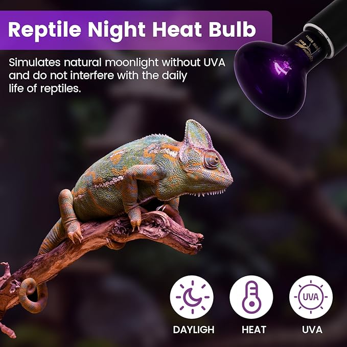 100W Reptile Night Light Bulb – 2-Pack Moonlight Purple Glow, Gentle Heat & UVA for Nocturnal Basking, E26 Base, Perfect for Bearded Dragon, Lizard, Turtle, Chicken