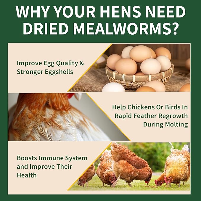 10LB Dried Mealworms, 100% Natural, Non-GMO Meal Worms, Dried for Chickens, Wild Birds, Reptile, Hamster, Hedgehog, Pigeon