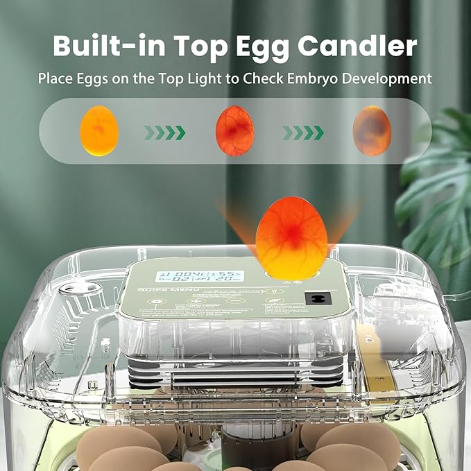 12 Egg Incubator with Humidity Display & Built-in Candler, Automatic Turner, Temp & Humidity Control, Auto Water Refill – Digital Hatcher for Chicken, Duck, Quail, Parrot (Green, 12 Egg)