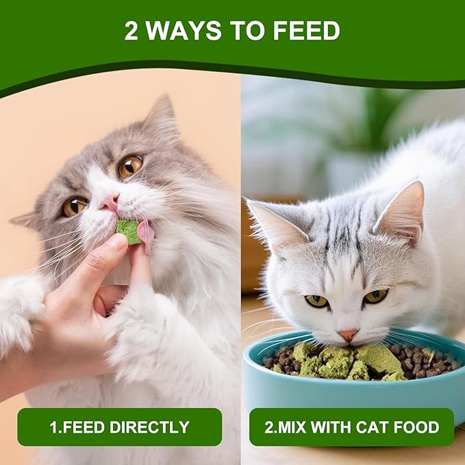100g Freeze-Dried Cat Grass Treats, Natural Hairball Treatment for Cats, Edible Cats Chew Toy Cat Treats Snack for Teething Cleaning Hairball Removal