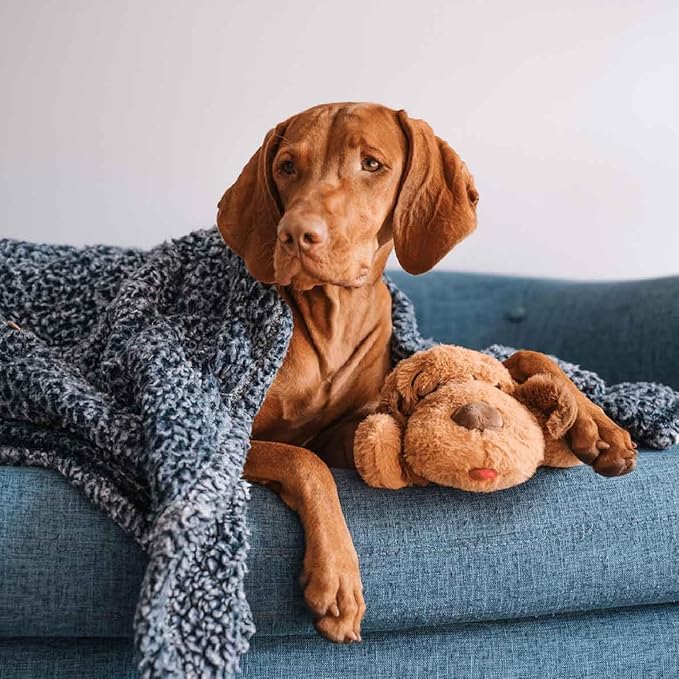 Original Snuggle Puppy Toys - Heartbeat Puppy for Dogs - Pet Anxiety Relief and Calming Aid - Comfort Dog Toys for Behavioral Training - Plus 6 Heat Packs