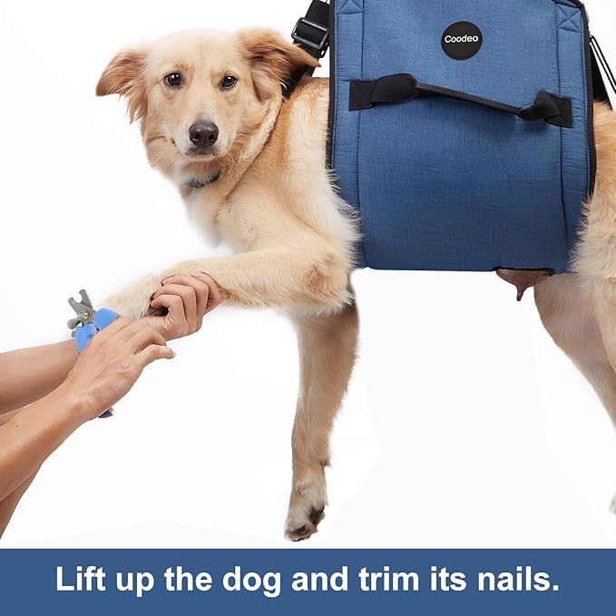 COODEO Dog Carry Sling, Emergency Backpack Pet Legs Support & Rehabilitation Dog Lift Harness for Nail Trimming, Dog Carrier for Senior Dogs Joint Injuries, Arthritis, Up and Down Stairs (M, Blue)