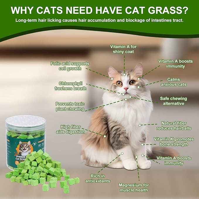100g Freeze-Dried Cat Grass Treats, Natural Hairball Treatment for Cats, Edible Cats Chew Toy Cat Treats Snack for Teething Cleaning Hairball Removal