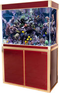 100 Gallon Glass Aquarium with Aluminum Cabinet - Including Sump for Filtration and Circulation, Plumbing, LED, Red with Gold Trim