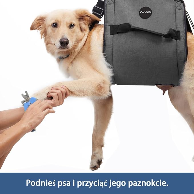 COODEO Dog Carry Sling, Emergency Backpack Pet Legs Support & Rehabilitation Dog Lift Harness for Nail Trimming, Dog Carrier for Senior Dogs Joint Injuries, Arthritis, Up and Down Stairs(L, Black)