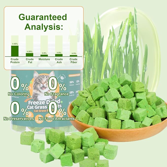 100g Freeze-Dried Cat Grass Treats, Natural Hairball Treatment for Cats, Edible Cats Chew Toy Cat Treats Snack for Teething Cleaning Hairball Removal