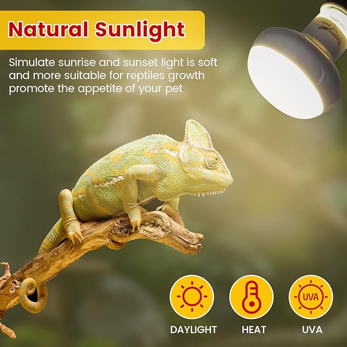 100W Reptile Heat Lamp Bulbs 2-Pack — UVA Daylight & Infrared Night Combo, Efficient Basking Light for Bearded Dragon, Lizard, Turtle, Chicken, E26 Base